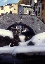 Il ponte con la neve